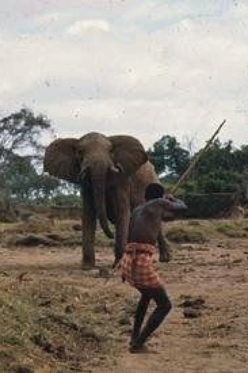 Bloody Ivory Plakat
