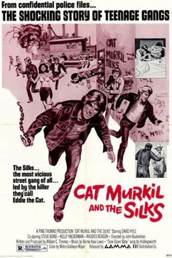 Cat Murkil and the Silks Plakat