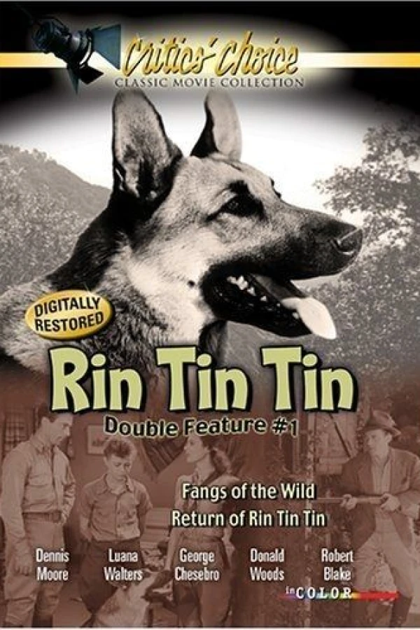 The Return of Rin Tin Tin Plakat