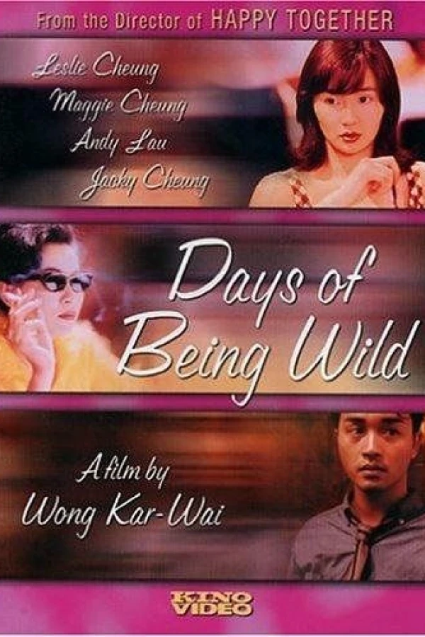 Days of Being Wild Plakat