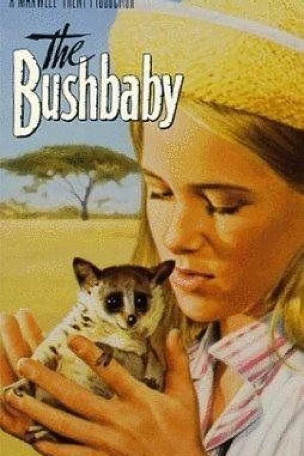 The Bushbaby Plakat