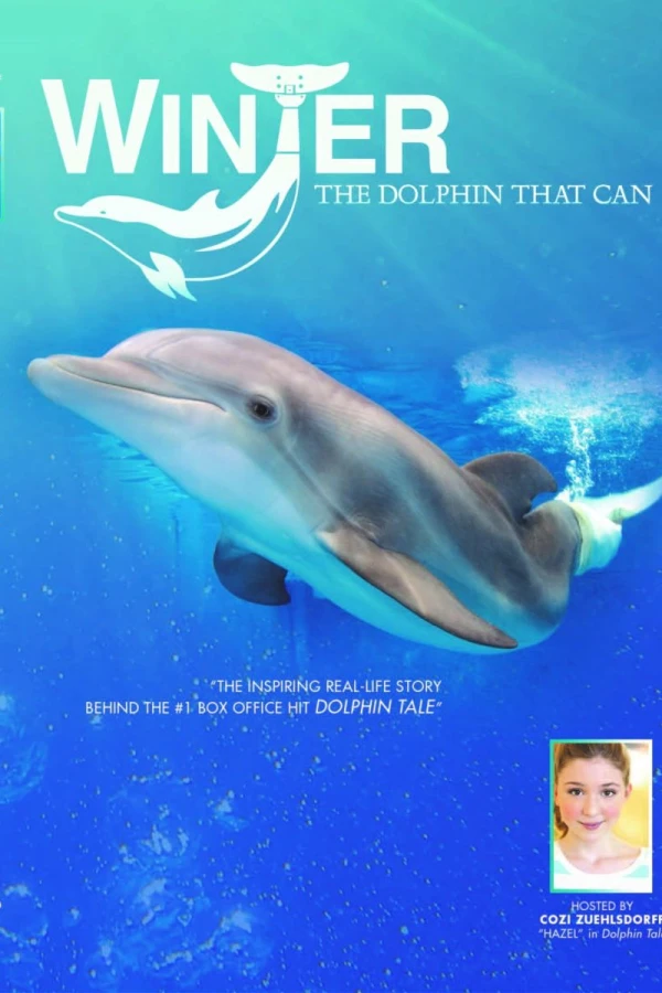 Winter, the Dolphin That Can Plakat