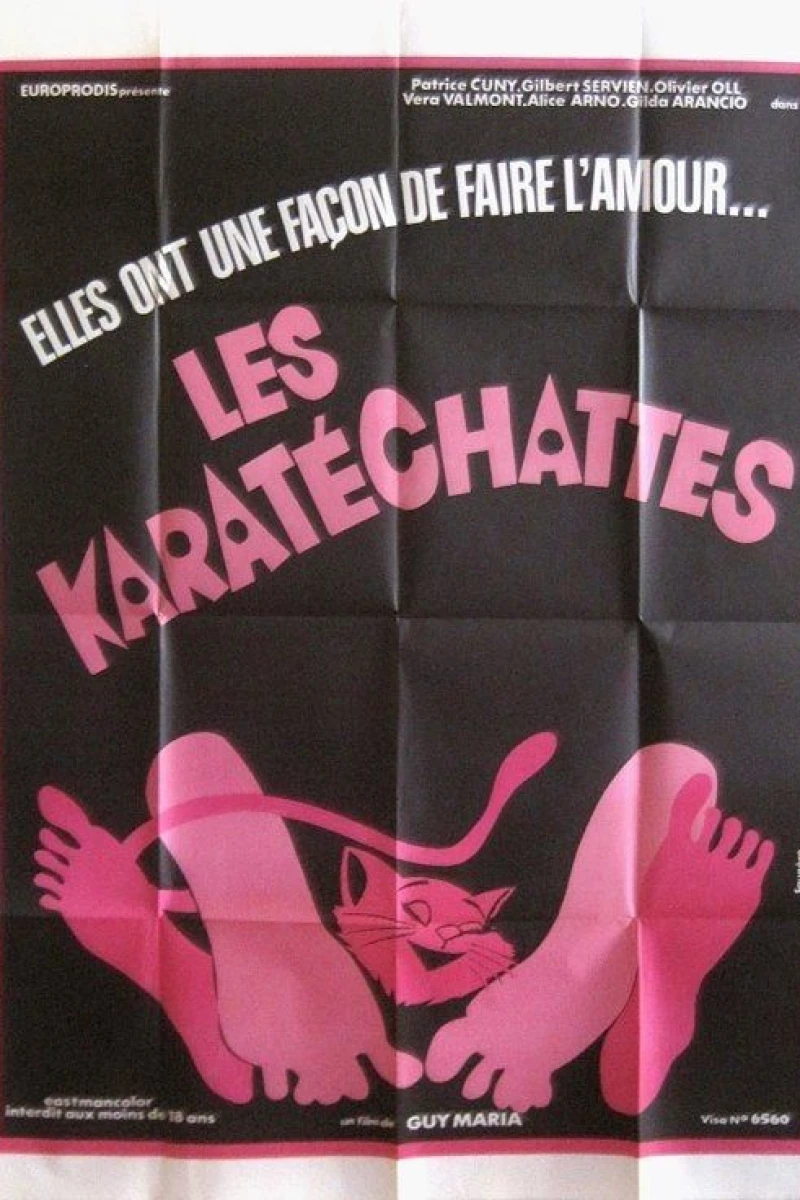 Les pornochattes Plakat