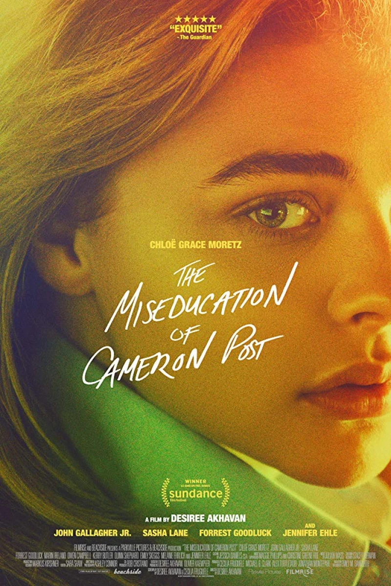 The Miseducation of Cameron Post Plakat