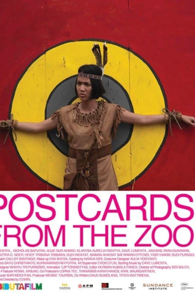 Postcards from the Zoo