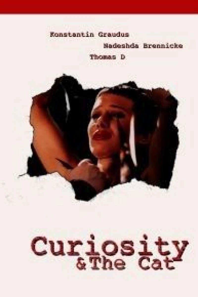 Curiosity the Cat Plakat