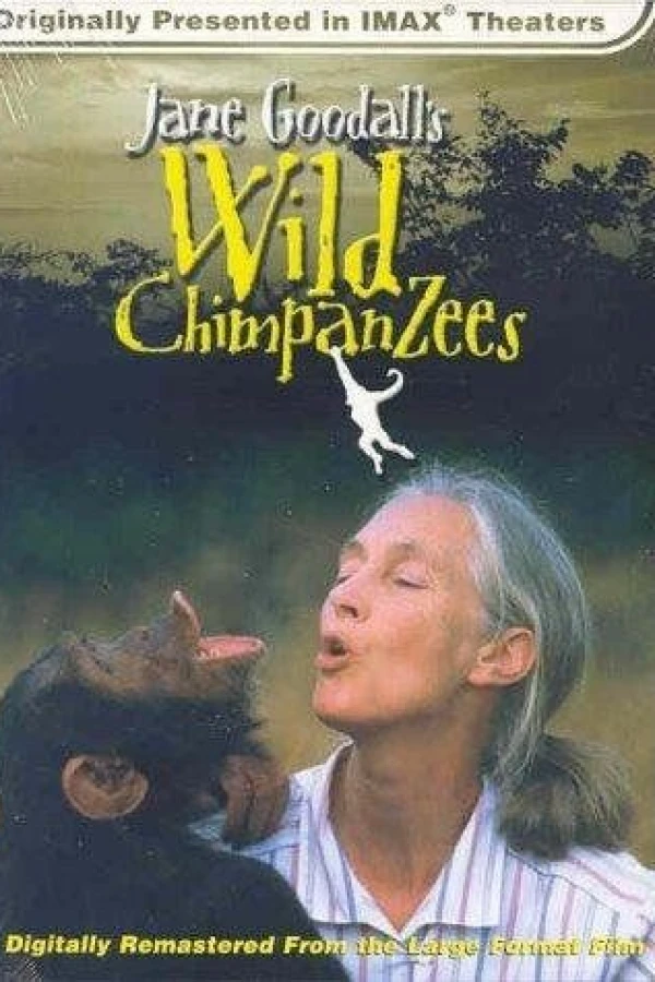 Jane Goodall's Wild Chimpanzees Plakat