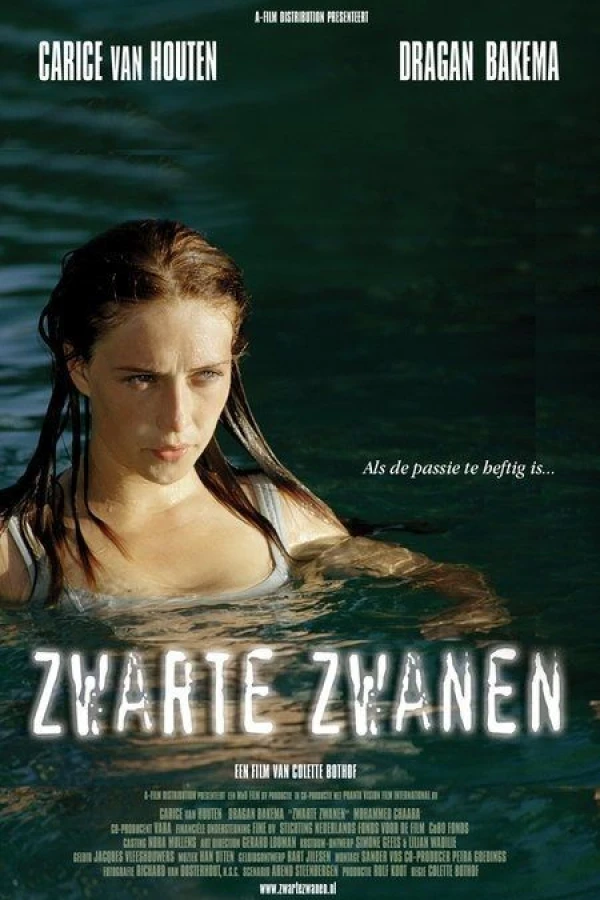 Zwarte zwanen Plakat