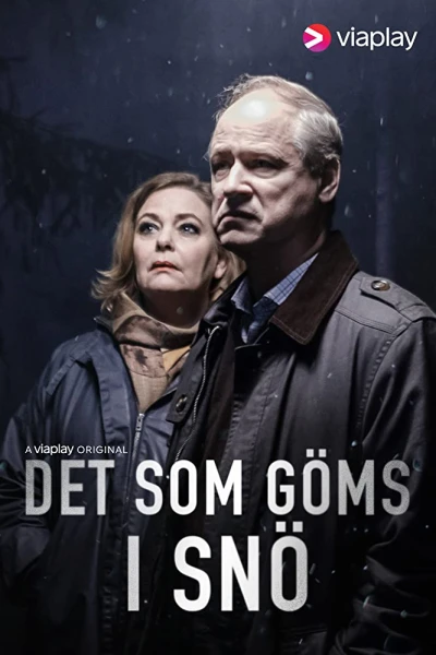 Det som göms i snö