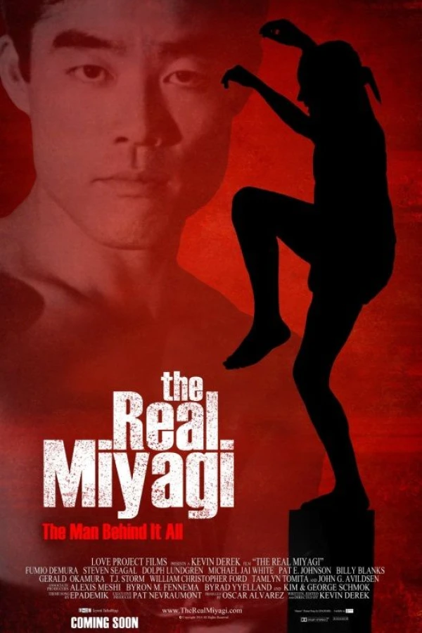 The Real Miyagi Plakat