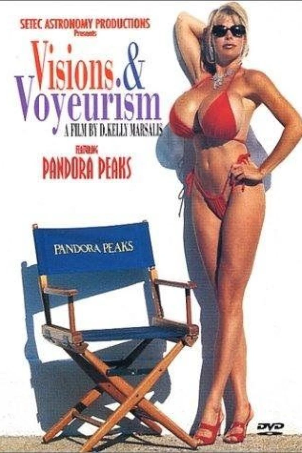 Visions and Voyeurism Plakat