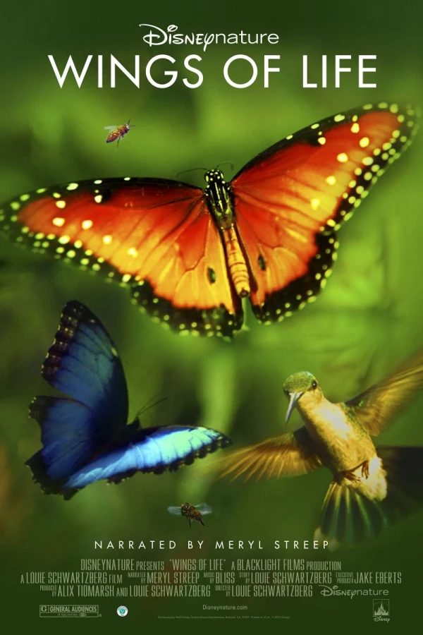Pollen Plakat