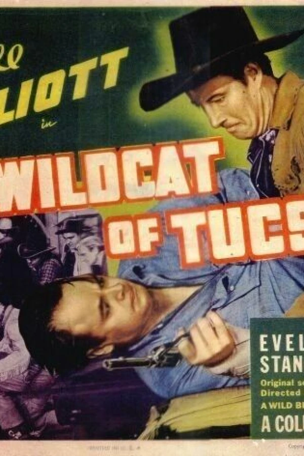 The Wildcat of Tucson Plakat