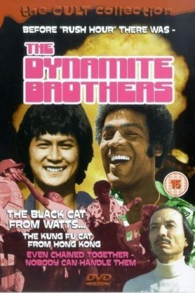 The Dynamite Brothers