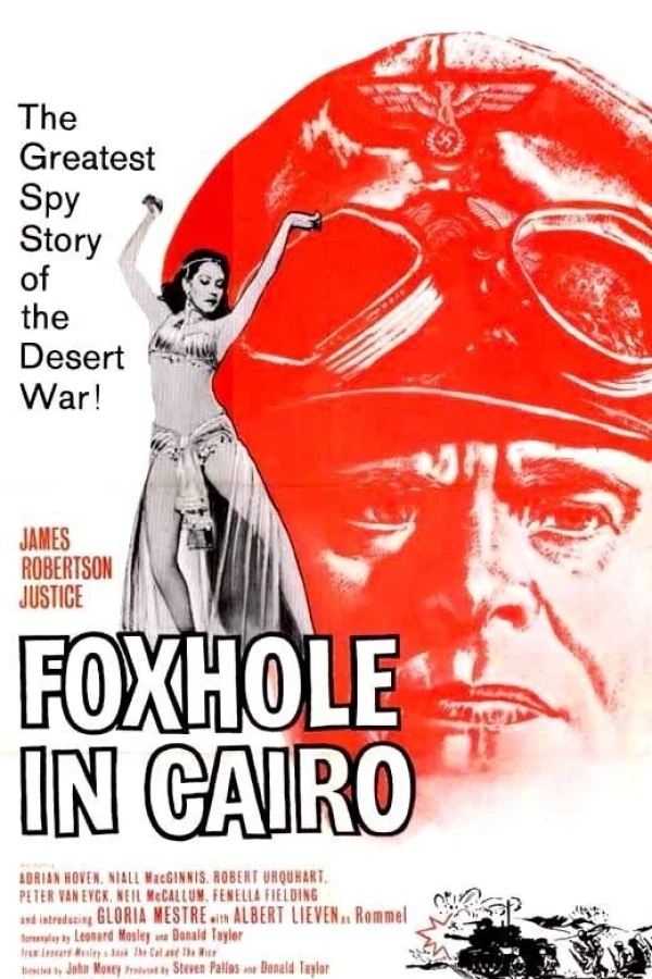 Foxhole in Cairo Plakat