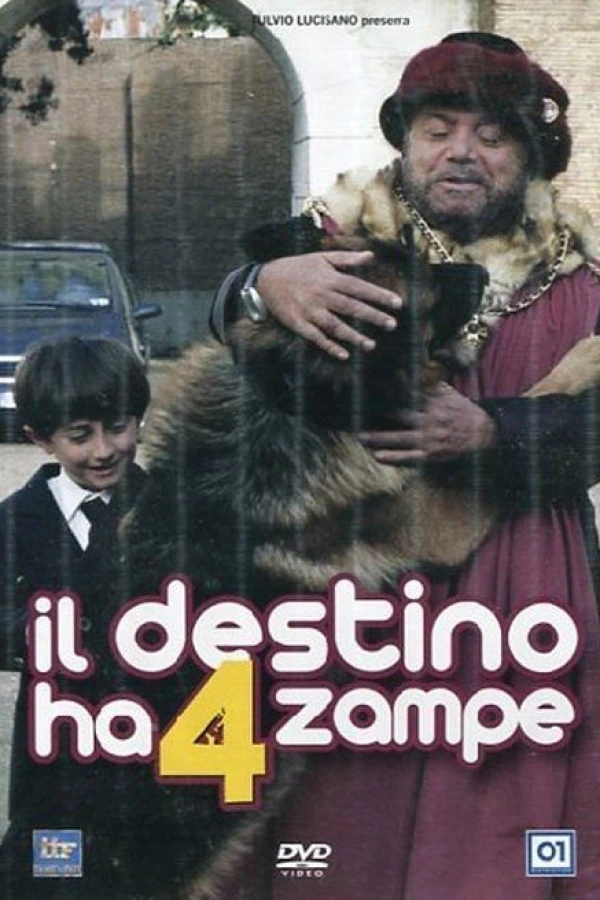 Il destino ha 4 zampe Plakat