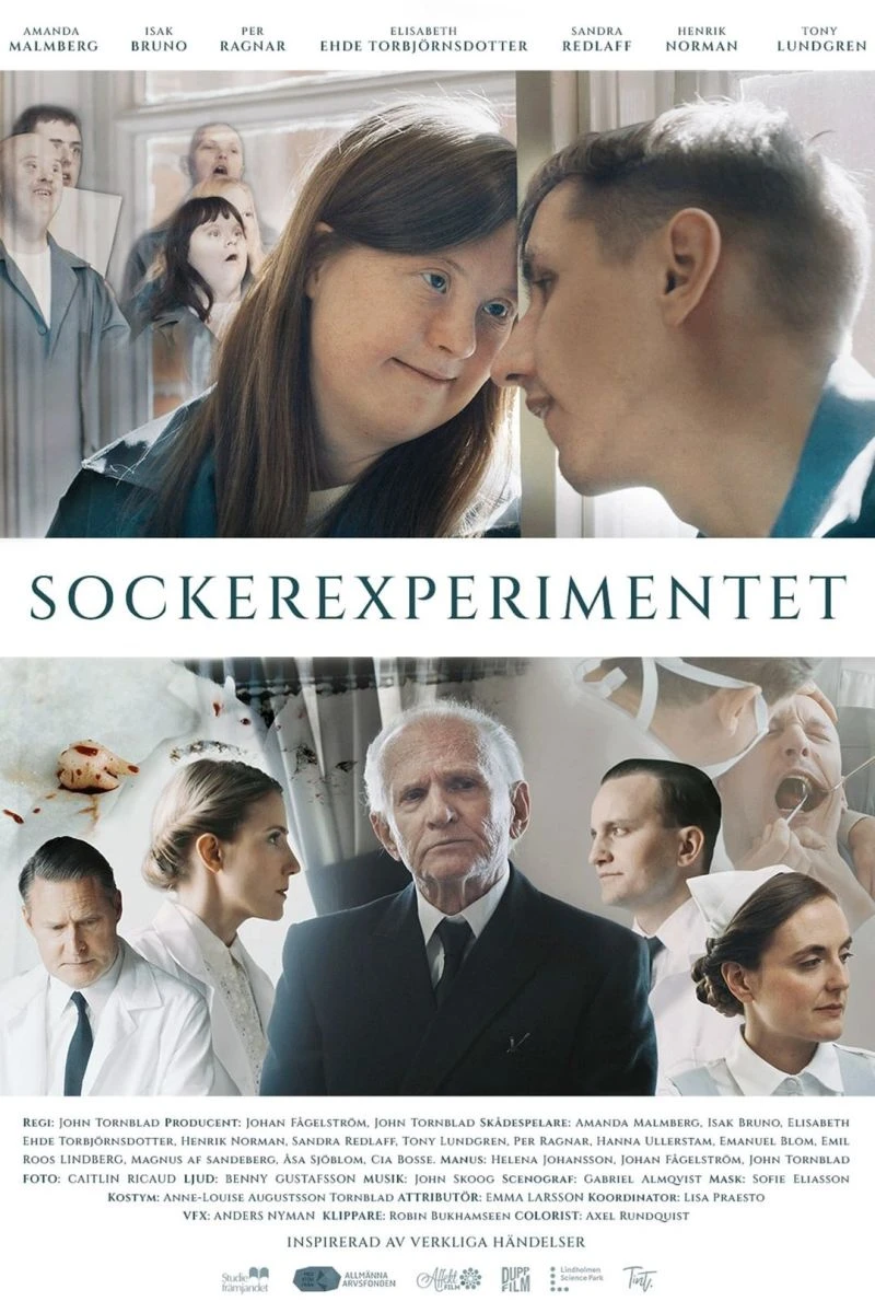 Sockerexperimentet Plakat