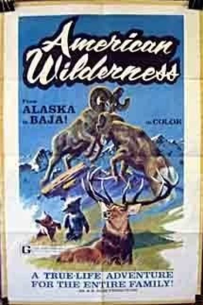 American Wilderness