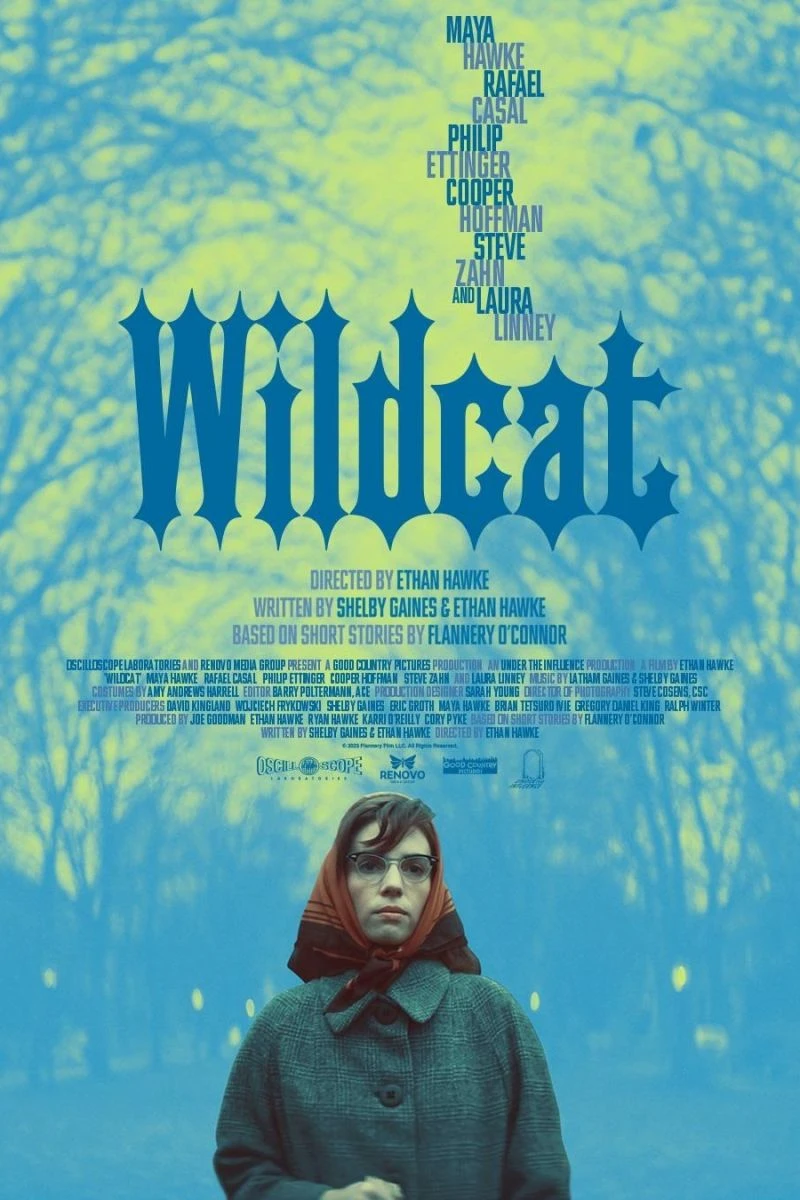 Wildcat Plakat