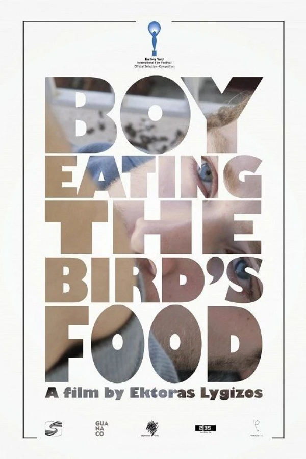 Boy Eating the Bird's Food Plakat