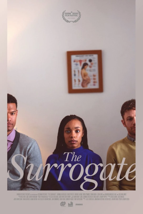 The Surrogate Plakat