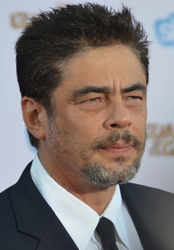 <strong>Benicio del Toro</strong>. Bilde Mingle Media TV.