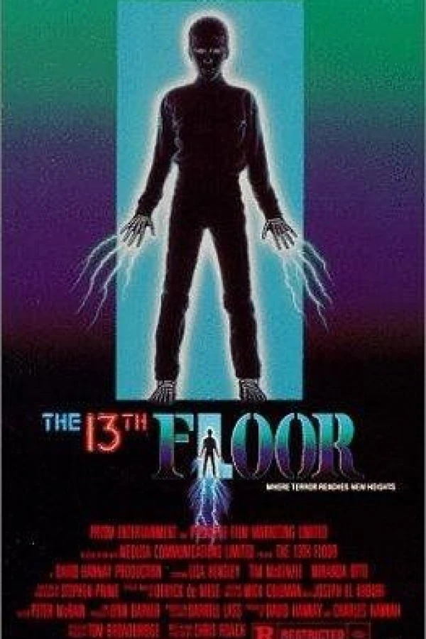 The 13th Floor Plakat