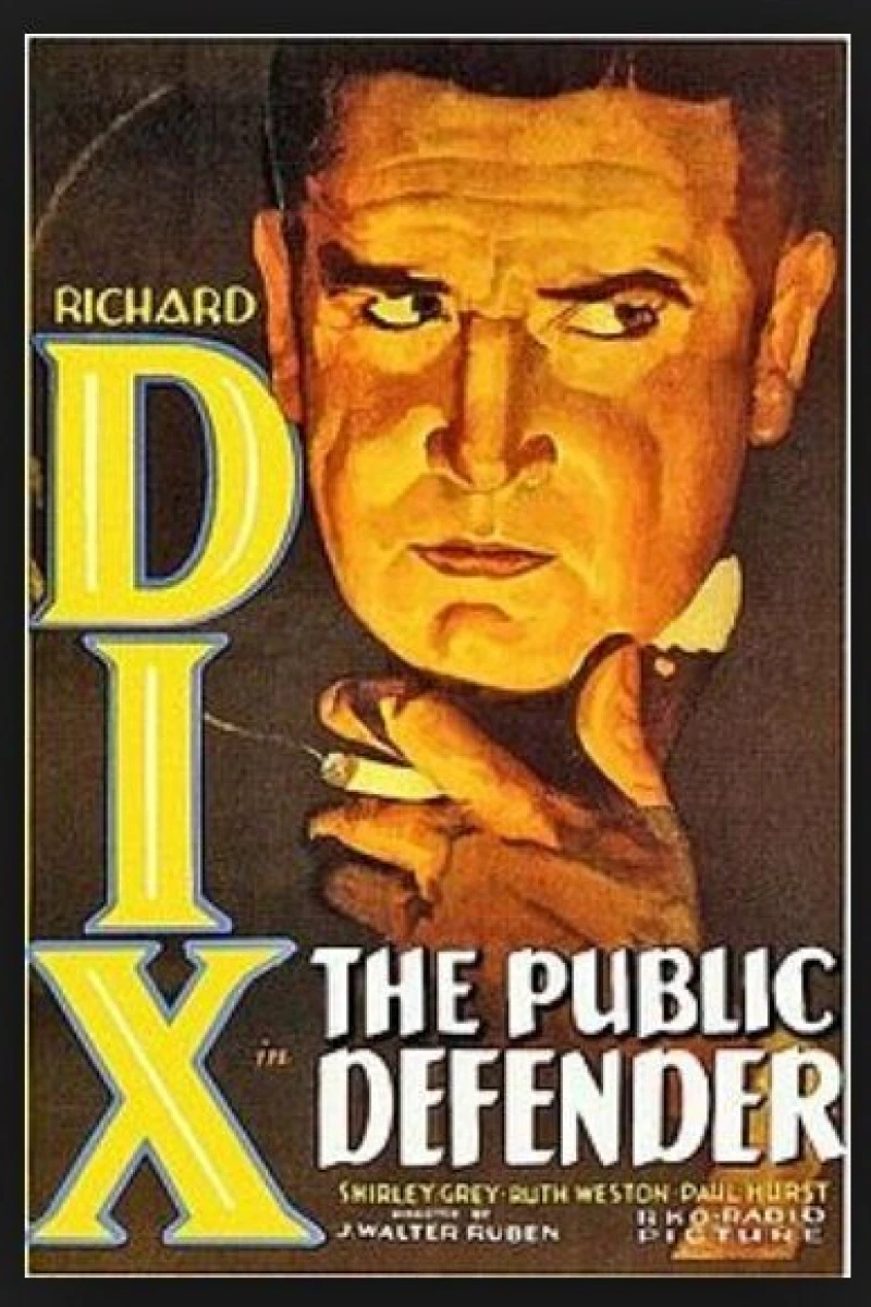 The Public Defender Plakat