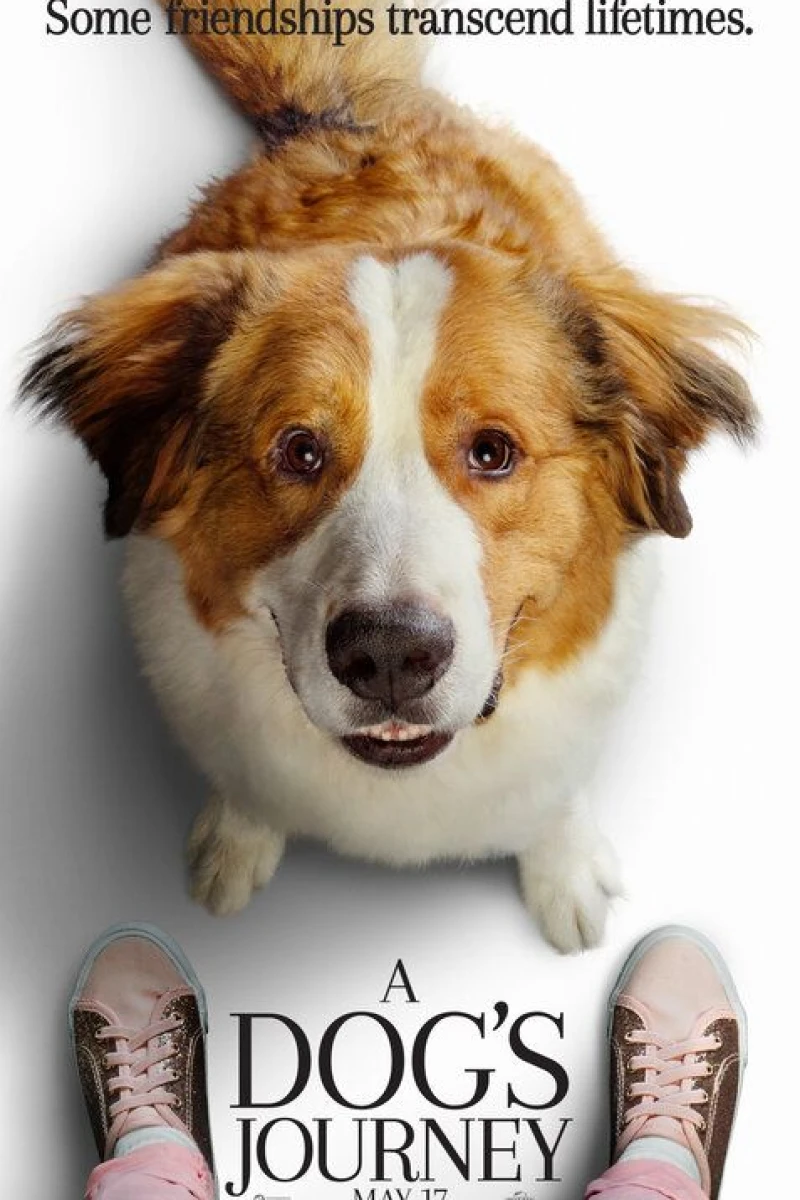 A Dog's Journey Plakat