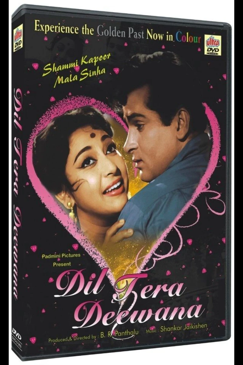 Dil Tera Diwana Plakat