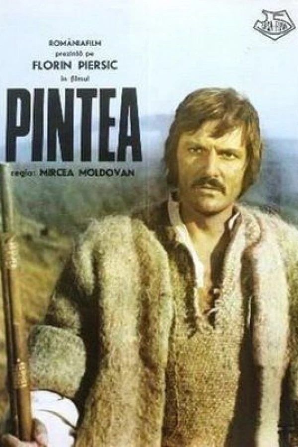 Pintea Plakat