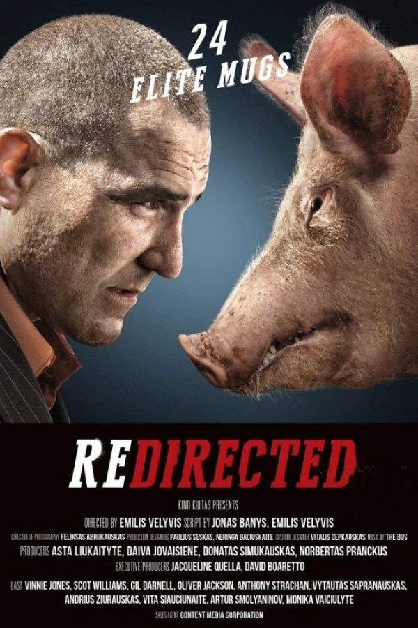Redirected Plakat