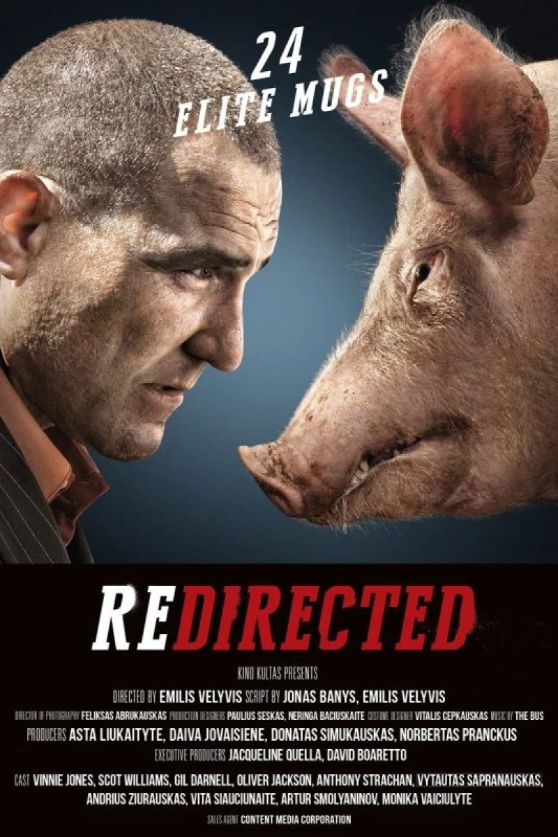 Redirected Plakat