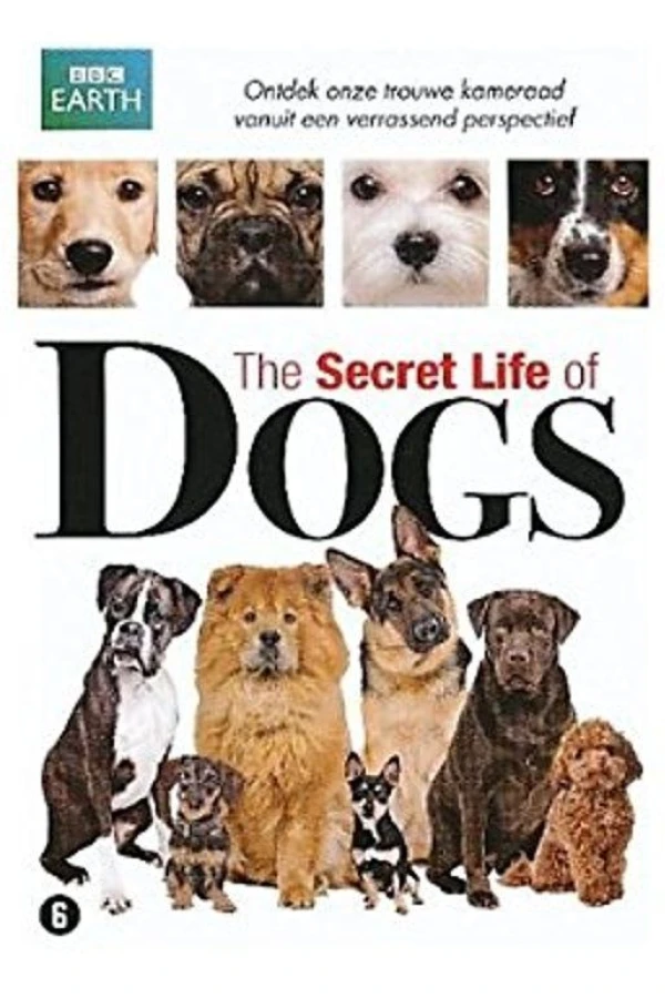 Secret Life of Dogs Plakat