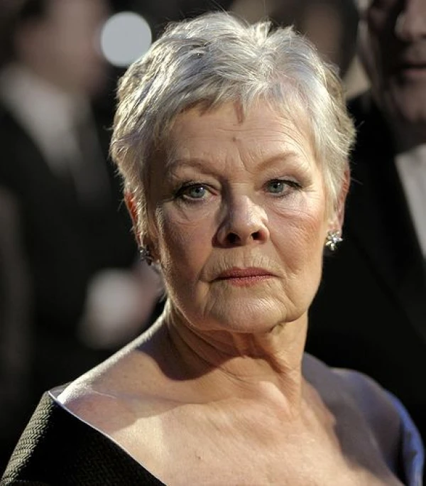 <strong>Dame Judi Dench</strong>. Bilde  Caroline Bonarde Ucci.