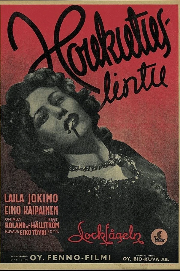 Houkutuslintu Plakat