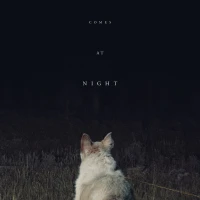 It Comes at Night