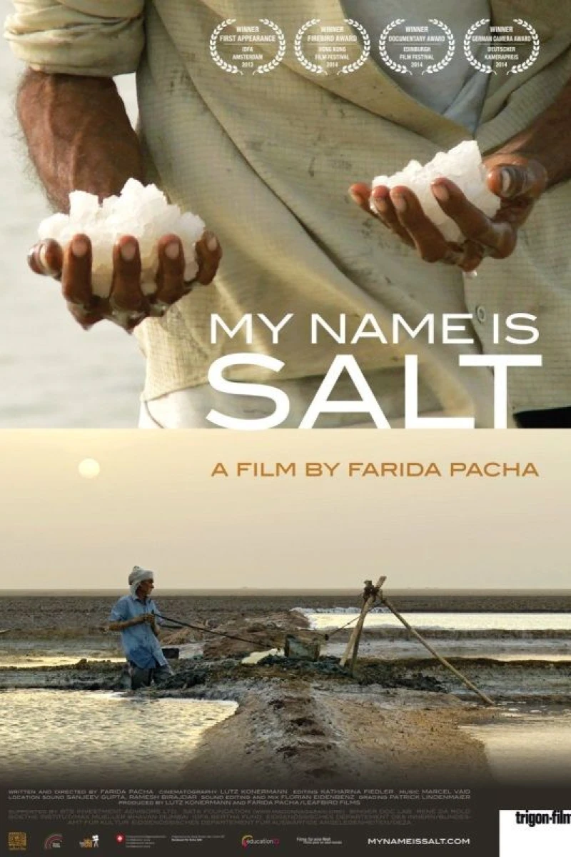 My Name Is Salt Plakat