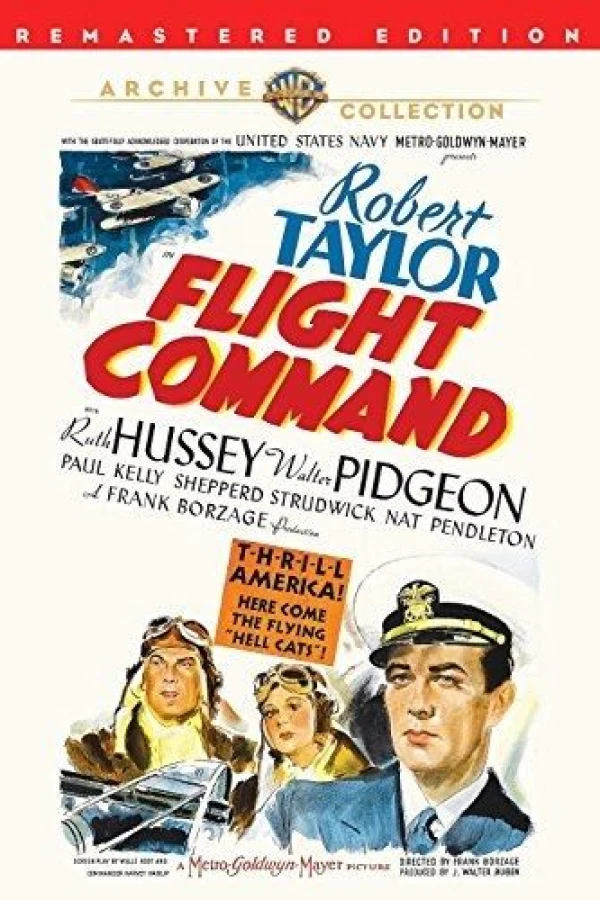 Flight Command Plakat