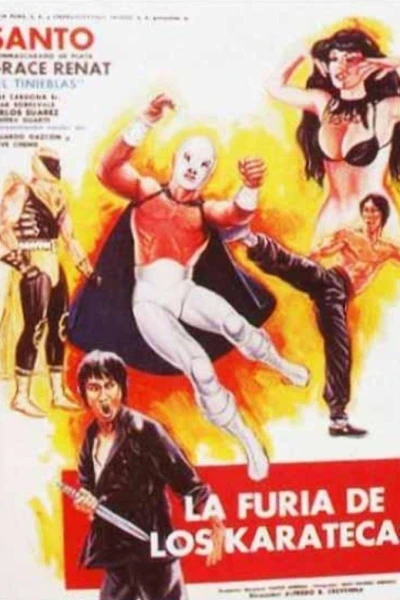 La furia de los karatecas