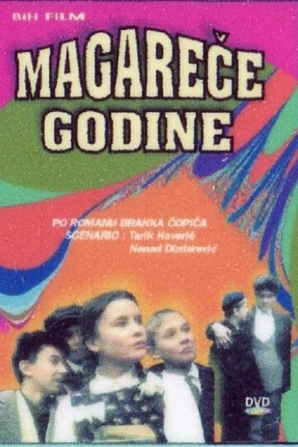 Magarece godine Plakat