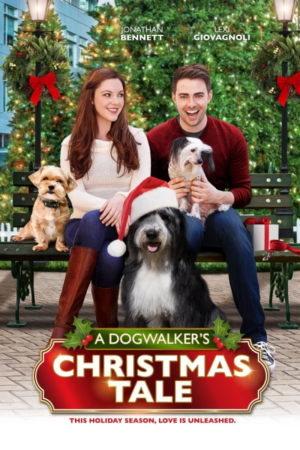 A Dogwalker's Christmas Tale Plakat