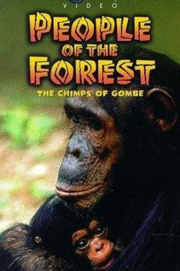 People of the Forest: The Chimps of Gombe Plakat