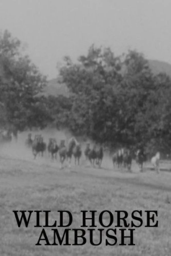 Wild Horse Ambush Plakat