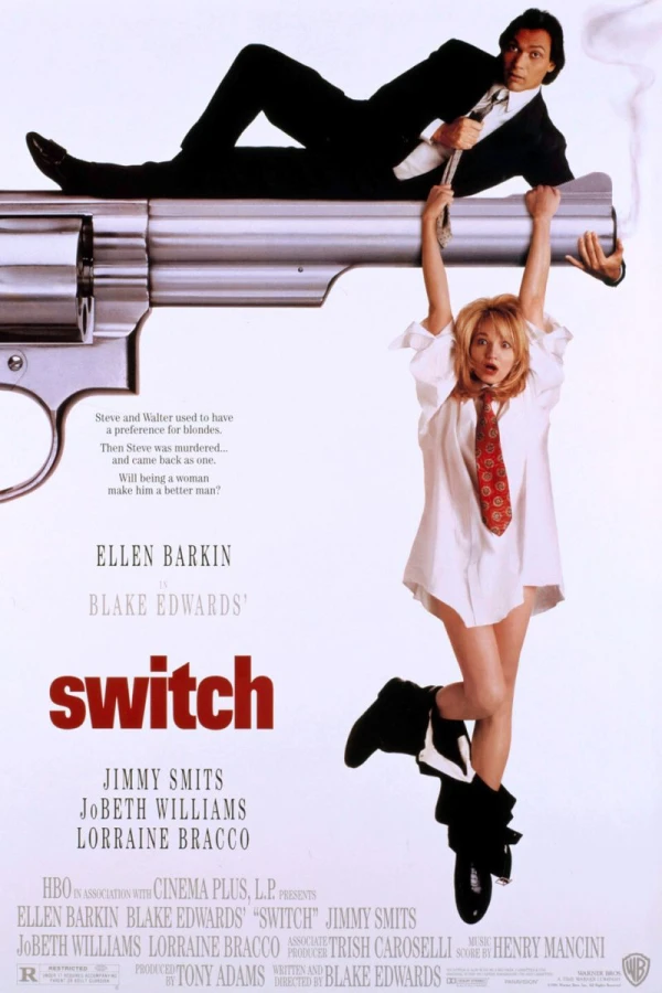Switch Plakat