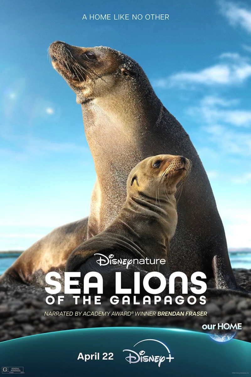 Sea Lions of the Galapagos Plakat