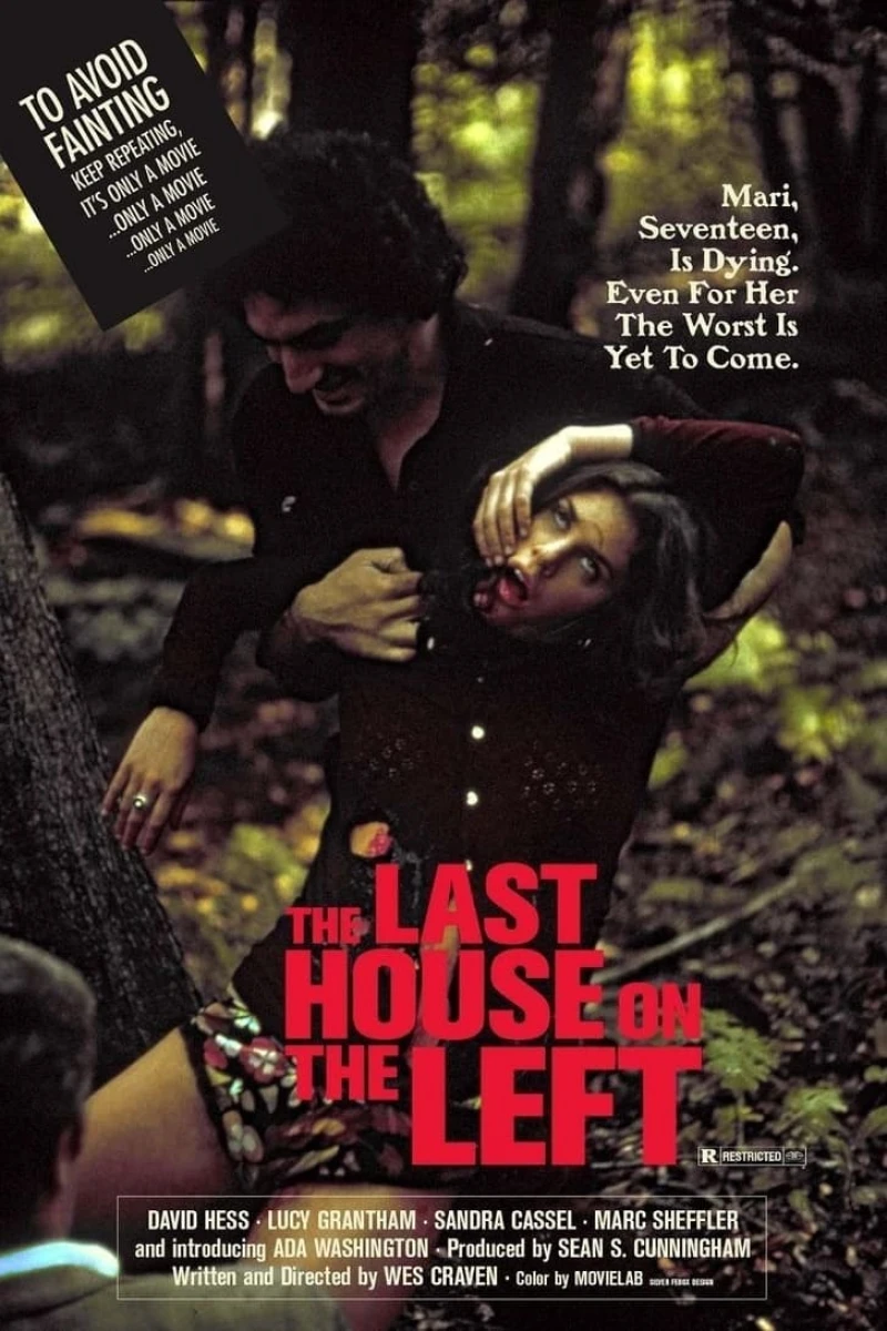 The Last House On the Left Plakat