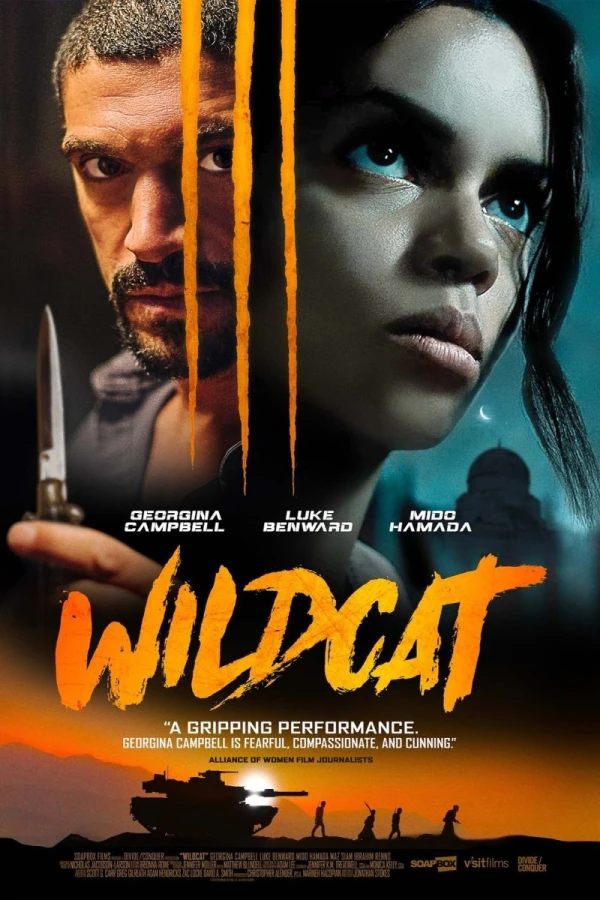 Wildcat Plakat