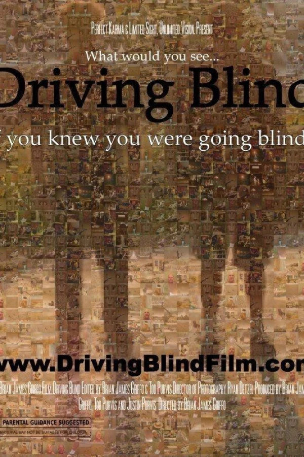 Driving Blind Plakat