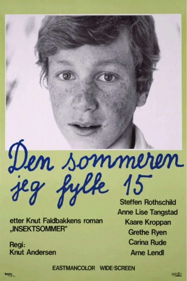 Den sommeren jeg fylte 15 Plakat